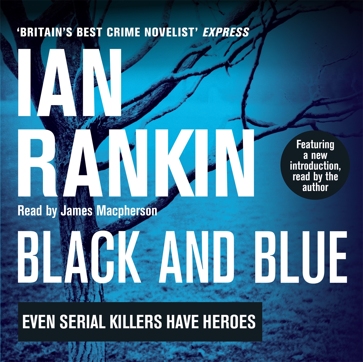 black & blue rankin novel black & blue rankin novel